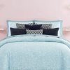 * Kate Spade New York New Bloom King Comforter Set, 3 Piece Blue Comforters: Fashion